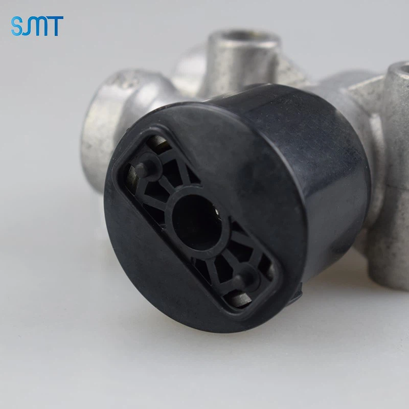 96300600101 96300600101